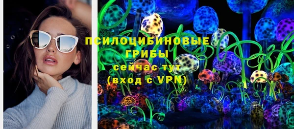 ешки Абинск