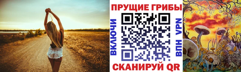 купить закладку  Нягань  Псилоцибиновые грибы GOLDEN TEACHER 